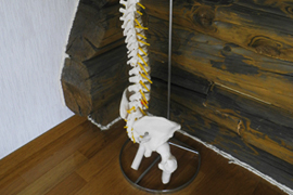 施術の前に関節の動きや骨盤のゆがみなどをご説明いたします。